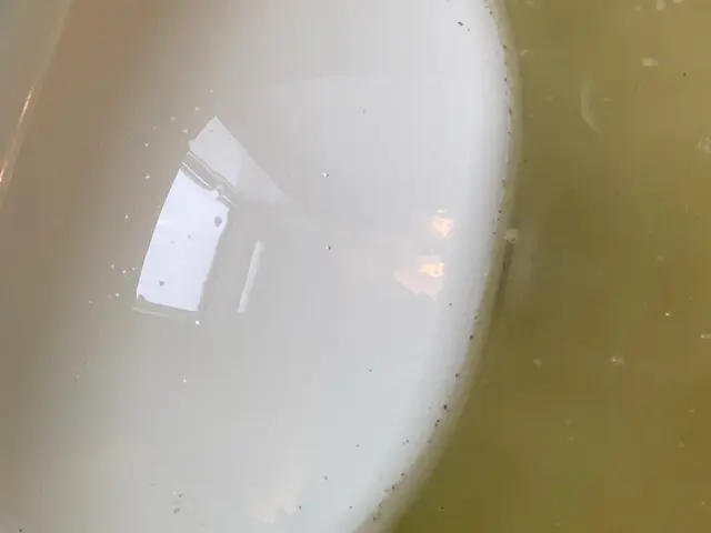 お風呂内部の汚れを一度見てませんか？当社にお任せ下さい！キャッシュレス対応！サービスの画像