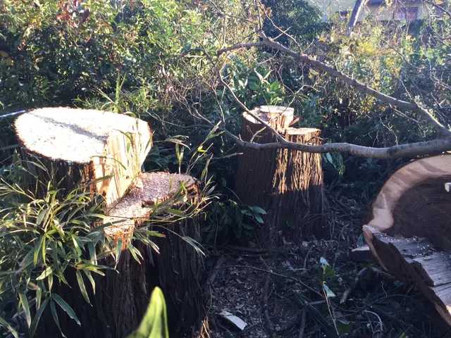 【完全自社施工】プロの技術でご満足いただけるように心を込めて作業いたしますサービスの画像