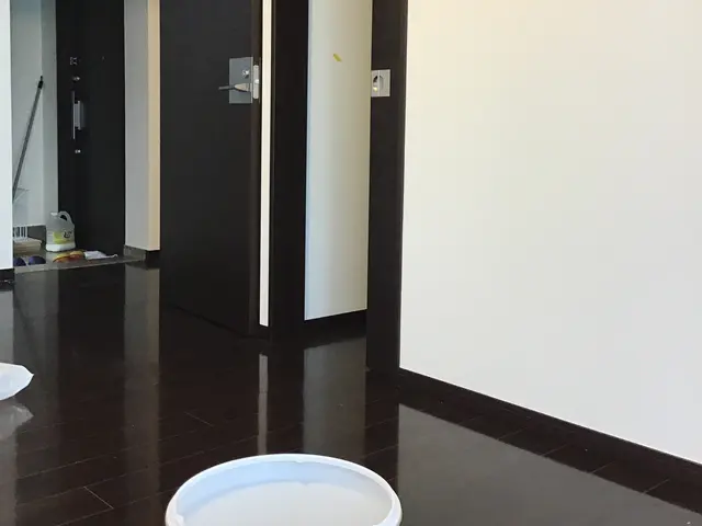 天然植物洗剤中心可能　割引有り内容はセールスポイントで　エアコンクリーニング士サービスの画像