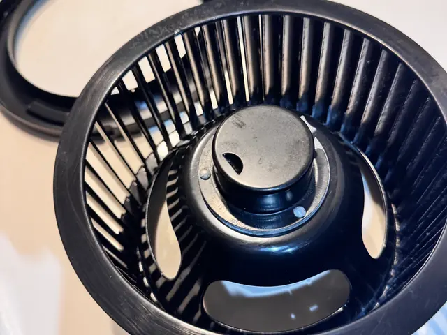 【先着10名様限定】★お値引き価格にてご提供中★空き枠あと5名様！サービスの画像