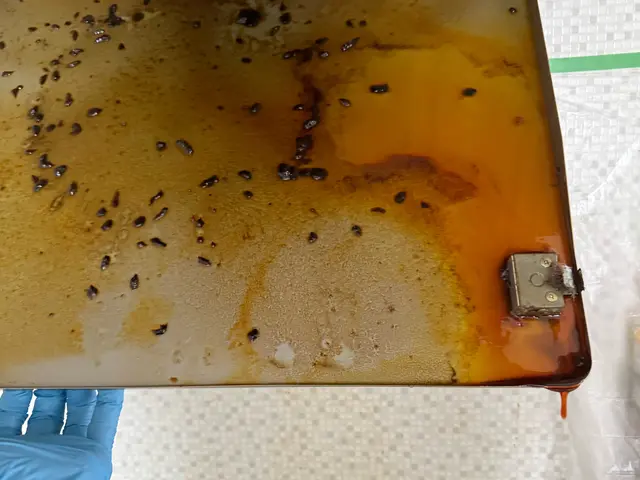 他の箇所とセットでのご依頼がお得なキャンペーン中！セールスポイント要確認です！サービスの画像