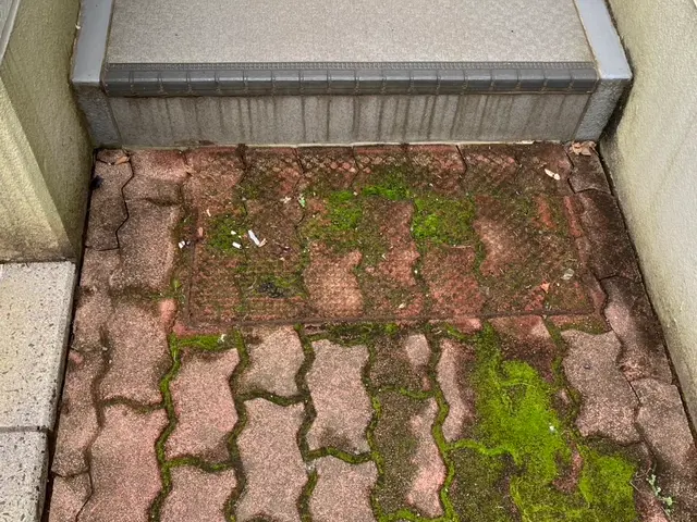 ☆期間限定オープン価格です☆頑固な汚れを高圧洗浄機で落としませんか？サービスの画像