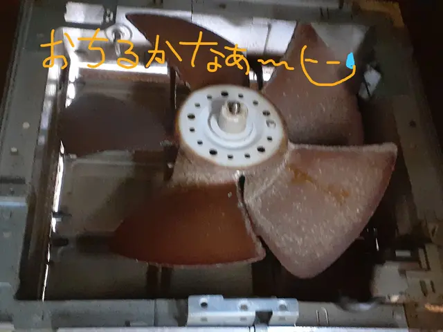 あなたの「大掃除を助けたい！」今年のうちにスッキリ綺麗にしちゃいましょ♪サービスの画像