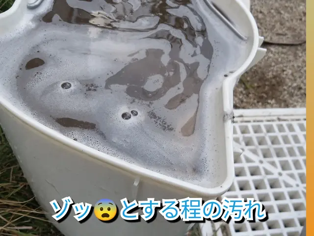 車内を丸洗い◎汚れ、匂いを徹底除去(*^^*)ペットや子供にも優しい洗剤使用◎サービスの画像