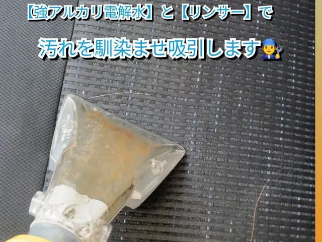 車内を丸洗い◎汚れ、匂いを徹底除去(*^^*)ペットや子供にも優しい洗剤使用◎サービスの画像