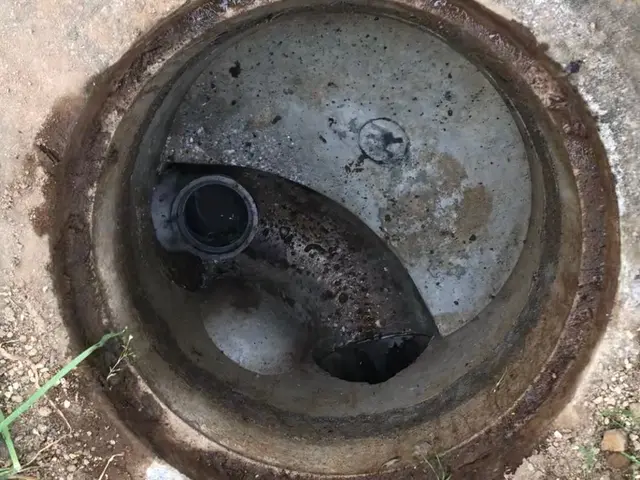 繁忙期前割・室内外回り洗浄で現金払いに限り2,000円割引き※当日お支払い時割引サービスの画像