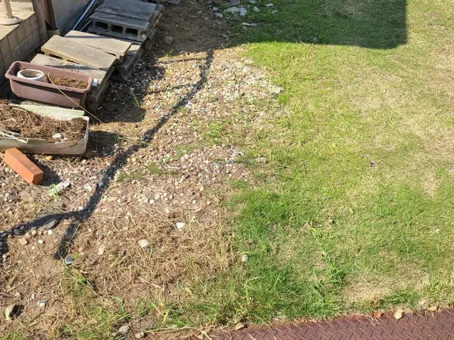 プロの技術でご満足いただけるように心を込めて作業いたしますサービスの画像