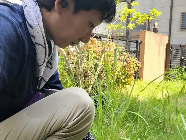 プロの技術でご満足いただけるように心を込めて作業いたしますサービスの画像