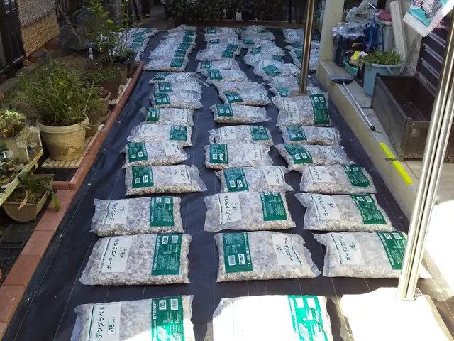 北葛城郡上牧町発【業歴20年の経験と実績！】作業外注なし！駐車代お店負担！サービスの画像