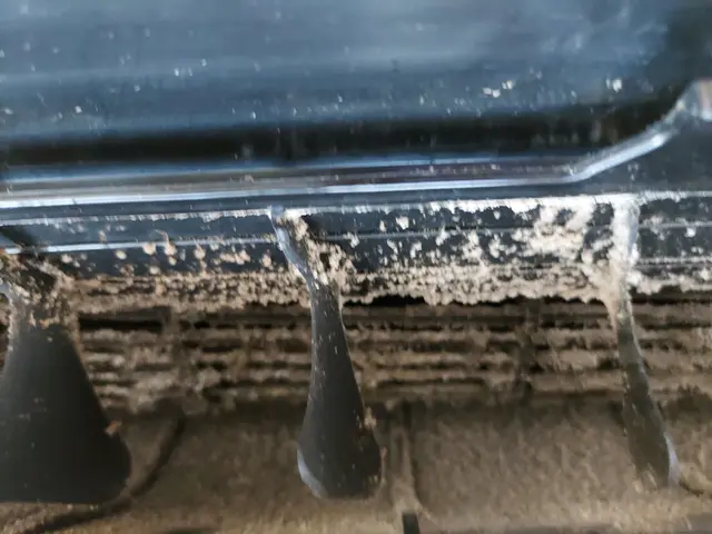 ＜清掃業20年以上＞愛知県を中心に対応！累計作業数1000以上！私が伺います。サービスの画像