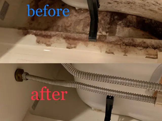 【③つの特典】①エプロン内高圧洗浄②手作業鏡研磨③換気扇フィルターサービスの画像