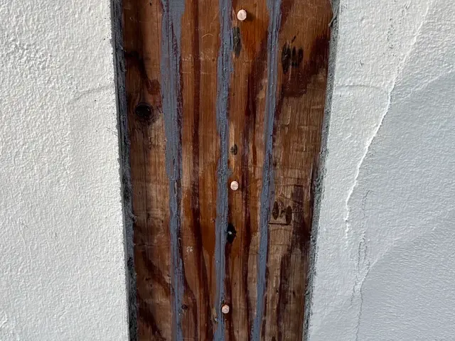 ☆新春キャンペーン料金50%オフ☆『虫バリア付き』【害虫駆除/クモ】サービスの画像