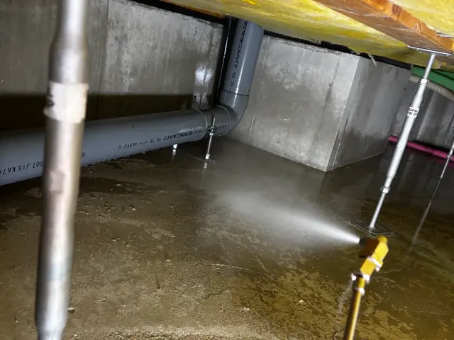 ☆新春キャンペーン料金50%オフ☆『虫バリア付き』【害虫駆除/クモ】サービスの画像