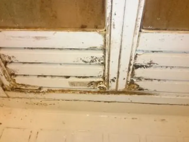 自然派ナチュラル＆セーフティー浴室クリーニングサービスの画像