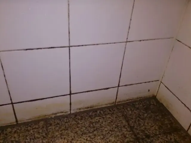 自然派ナチュラル＆セーフティー浴室クリーニングサービスの画像