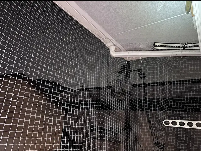 害鳥ハト駆除防鳥対策専門IBEX+快適暮らし守る安心サービスサービスの画像