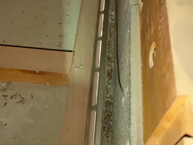 害鳥ハト駆除防鳥対策専門IBEX+快適暮らし守る安心サービスサービスの画像