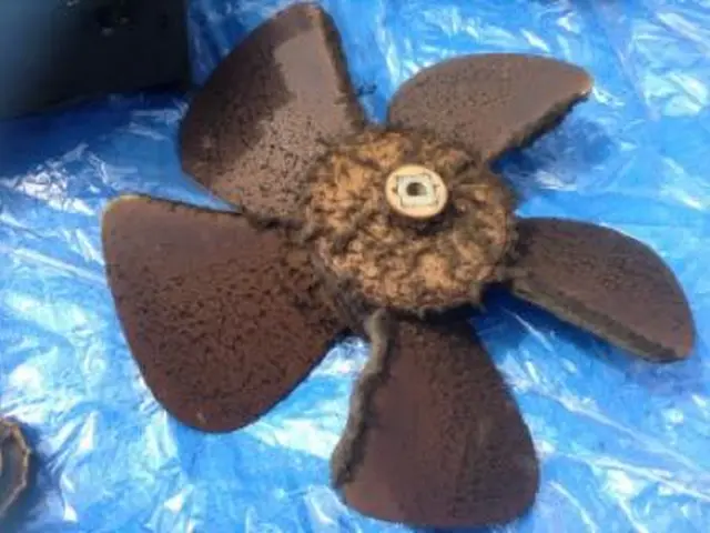 現役ﾊｳｽｸﾘｰﾆﾝｸﾞ士が訪問★厳選洗剤使用★駐車代当社負担サービスの画像