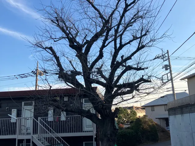 【横浜市発】お庭のことならお任せください◎営業時間外・対応地域外もご相談歓迎！サービスの画像