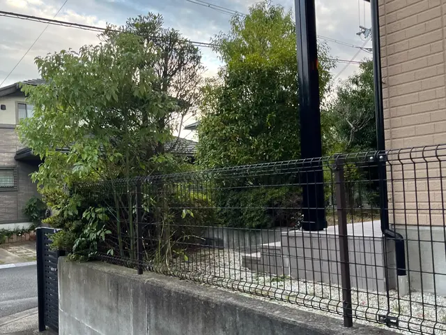 【職人歴10年】庭専門のプロがなんでも相談にのります！！剪定技術も叩き上げです！サービスの画像