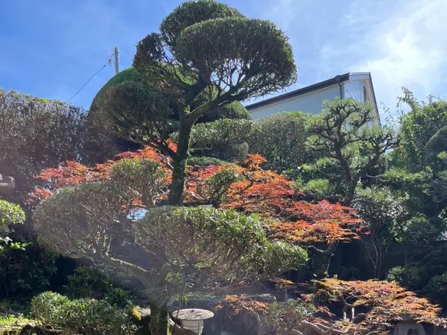 【職人歴10年】庭専門のプロがなんでも相談にのります！！剪定技術も叩き上げです！サービスの画像