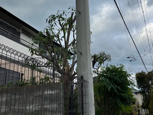 【職人歴10年】庭専門のプロがなんでも相談にのります！！剪定技術も叩き上げです！サービスの画像