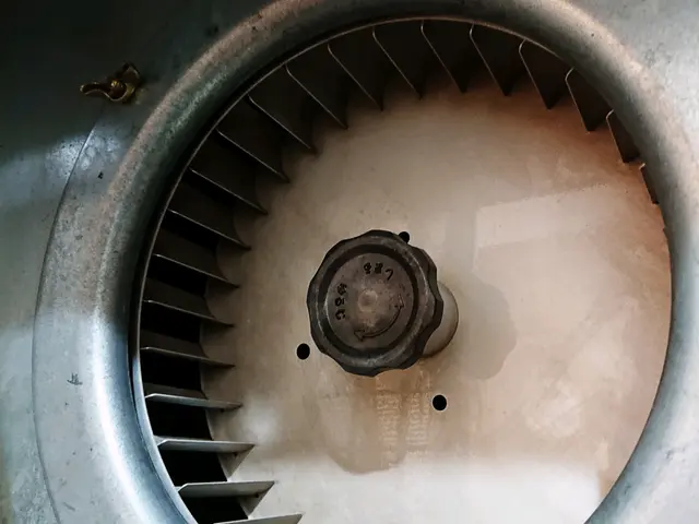 【業歴30年の経験実績！】女性スタッフ同行OK！ プロのレンジフードクリーニングサービスの画像