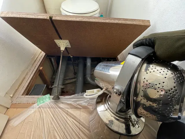 ゴキブリ駆除お任せ下さい！【業界10年以上！完全自社対応◎】年中無休で対応中！サービスの画像