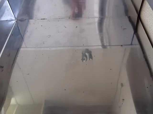 主婦目線でのクリーニング★女性でも力を使わず綺麗さを保てますサービスの画像