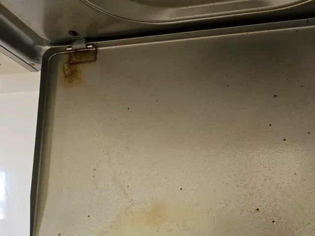 ギトギト油汚れ！諦めずに綺麗にしてみませんか？サービスの画像