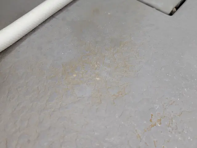 ◇◆キャンペーン◇◆ ご注文を頂いた方に「トイレ清掃（1箇所）」をサービス♪サービスの画像