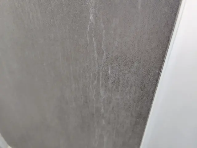 ◇◆キャンペーン◇◆ ご注文を頂いた方に「トイレ清掃（1箇所）」をサービス♪サービスの画像