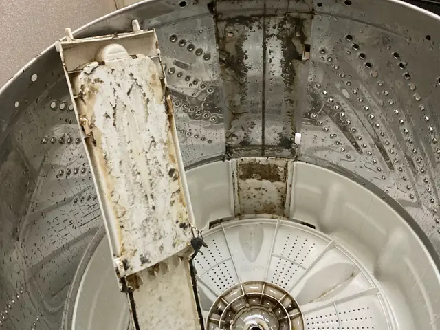 ★クリーニング専門店による分解洗浄★追加料金なし★P代無料★サービスの画像