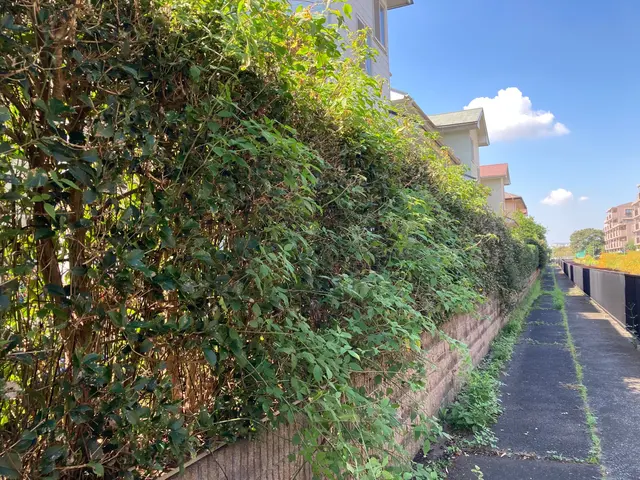 《年中無休》作業外注一切なし◎損害保険加入済み！訪問時の駐車場代は当店負担！サービスの画像