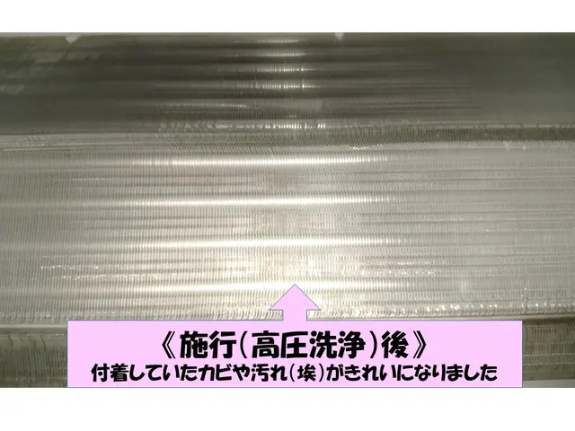 除菌消臭無料！天然洗剤使用☆女性スタッフ同行可♪丁寧な作業で安心安全✩サービスの画像