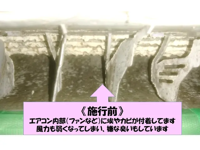 除菌消臭無料！天然洗剤使用☆女性スタッフ同行可♪丁寧な作業で安心安全✩サービスの画像