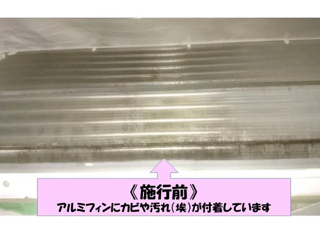 除菌消臭無料！天然洗剤使用☆女性スタッフ同行可♪丁寧な作業で安心安全✩サービスの画像