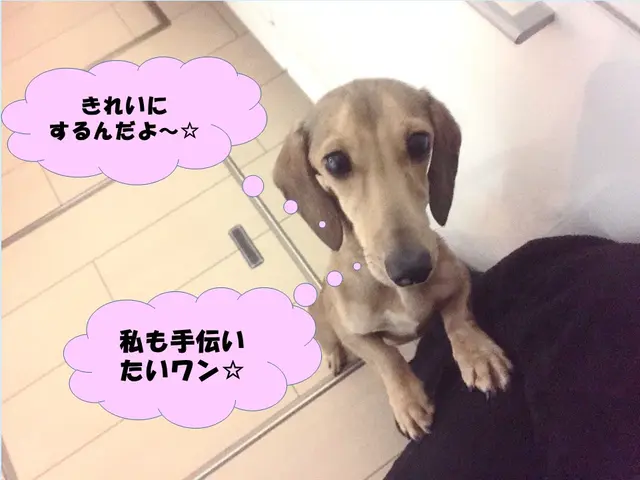 除菌消臭無料！天然洗剤使用☆女性スタッフ同行可♪丁寧な作業で安心安全✩サービスの画像