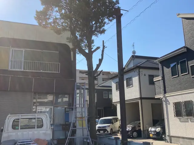 ★丁寧な作業、親身になって伐採します！立ち合い無しでも空き家でも作業を致しますサービスの画像