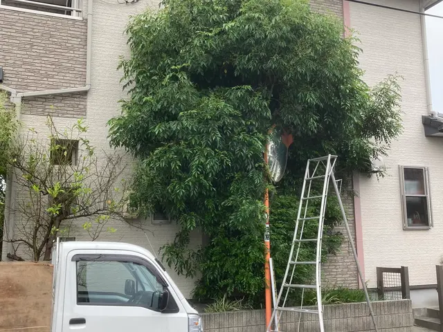 ★丁寧な作業、親身になって伐採します！立ち合い無しでも空き家でも作業を致しますサービスの画像