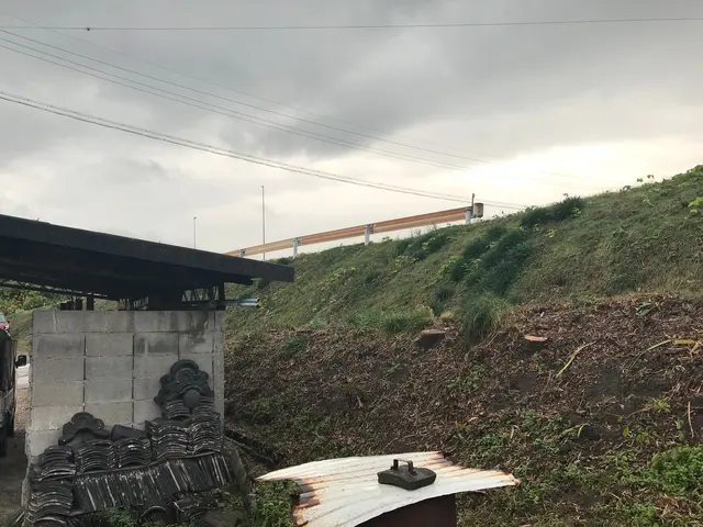 ★丁寧な作業、親身になって伐採します！立ち合い無しでも空き家でも作業を致しますサービスの画像