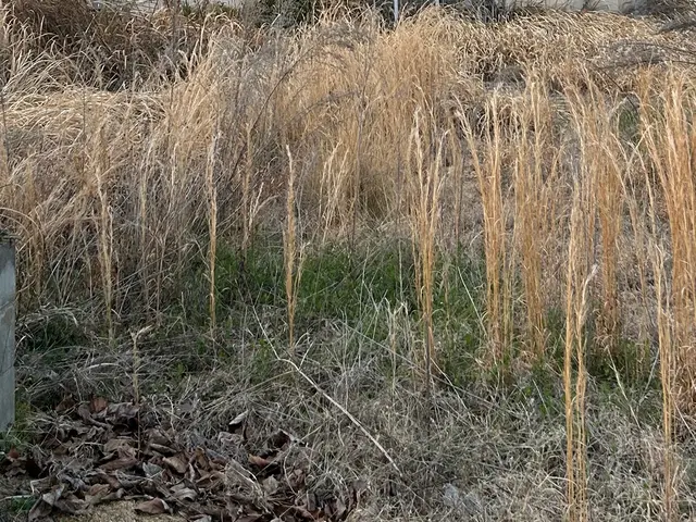 【損害保険加入済】少量でも多量でも！自信の完全自社施工◎駐車代は当店が全額負担！サービスの画像