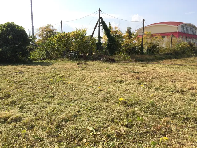 《年中無休営業◎》百姓経験で培った『業』を地域の為に！■作業外注一切無し■サービスの画像