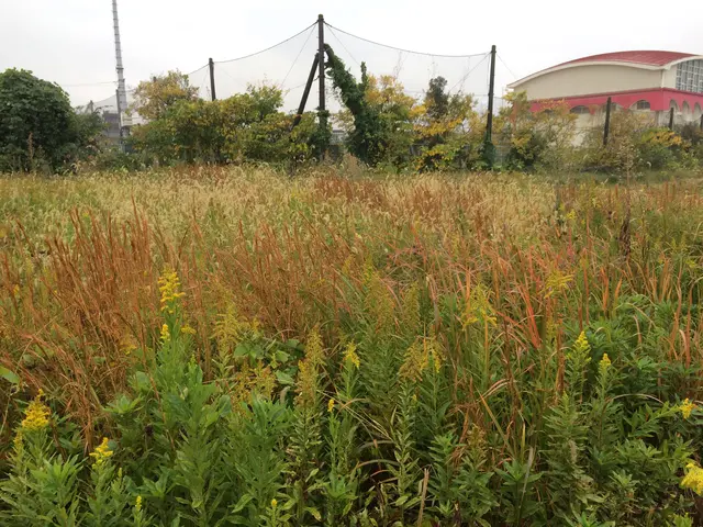 《年中無休営業◎》百姓経験で培った『業』を地域の為に！■作業外注一切無し■サービスの画像