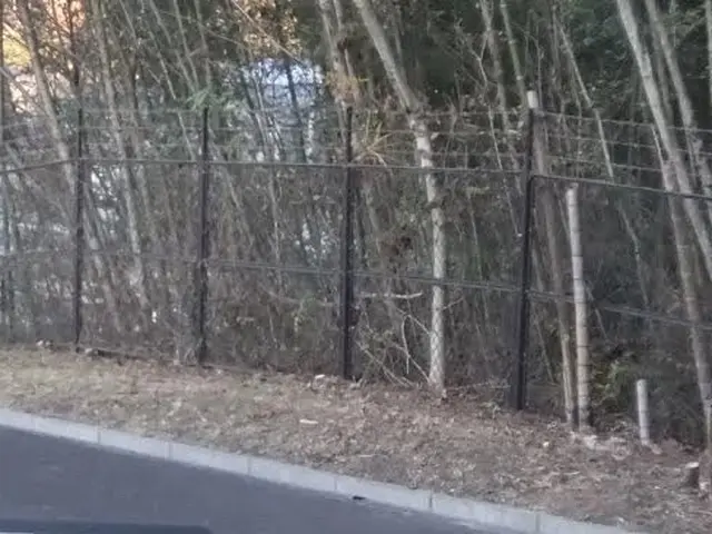 【女性スタッフ同行可能】大手での作業経験あります◉サービスの画像