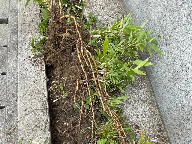 【女性スタッフ同行可能】大手での作業経験あります◉サービスの画像