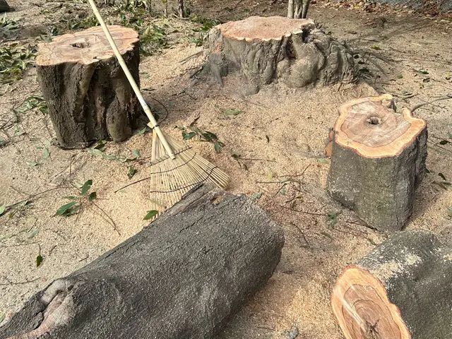 【女性スタッフ同行可能】大手での作業経験あります◉サービスの画像