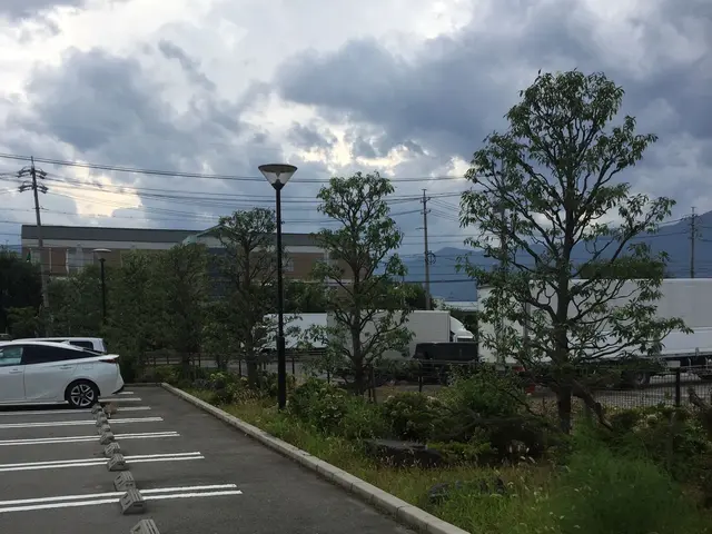 【地域密着・土曜も営業！】経験豊富なスタッフによる丁寧な庭仕事◆損保加入済サービスの画像