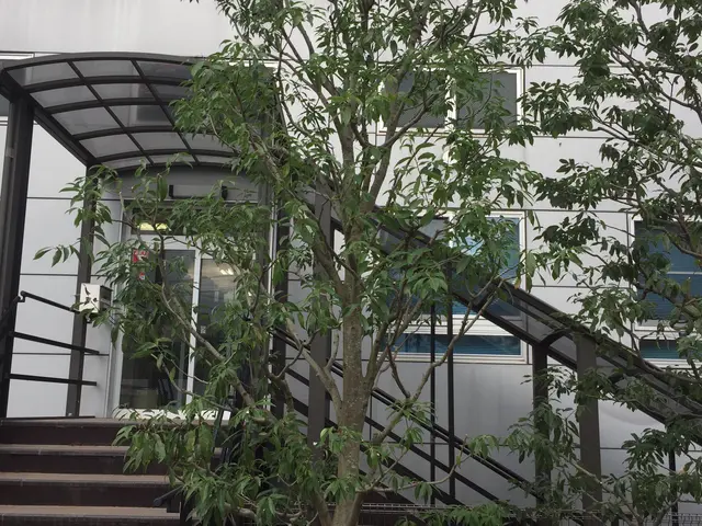 【地域密着・土曜も営業！】経験豊富なスタッフによる丁寧な庭仕事◆損保加入済サービスの画像