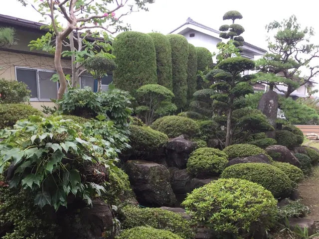 【地域密着・土曜も営業！】経験豊富なスタッフによる丁寧な庭仕事◆損保加入済サービスの画像